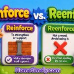 Reinforce vs. Reenforce: The Correct Spelling Explained